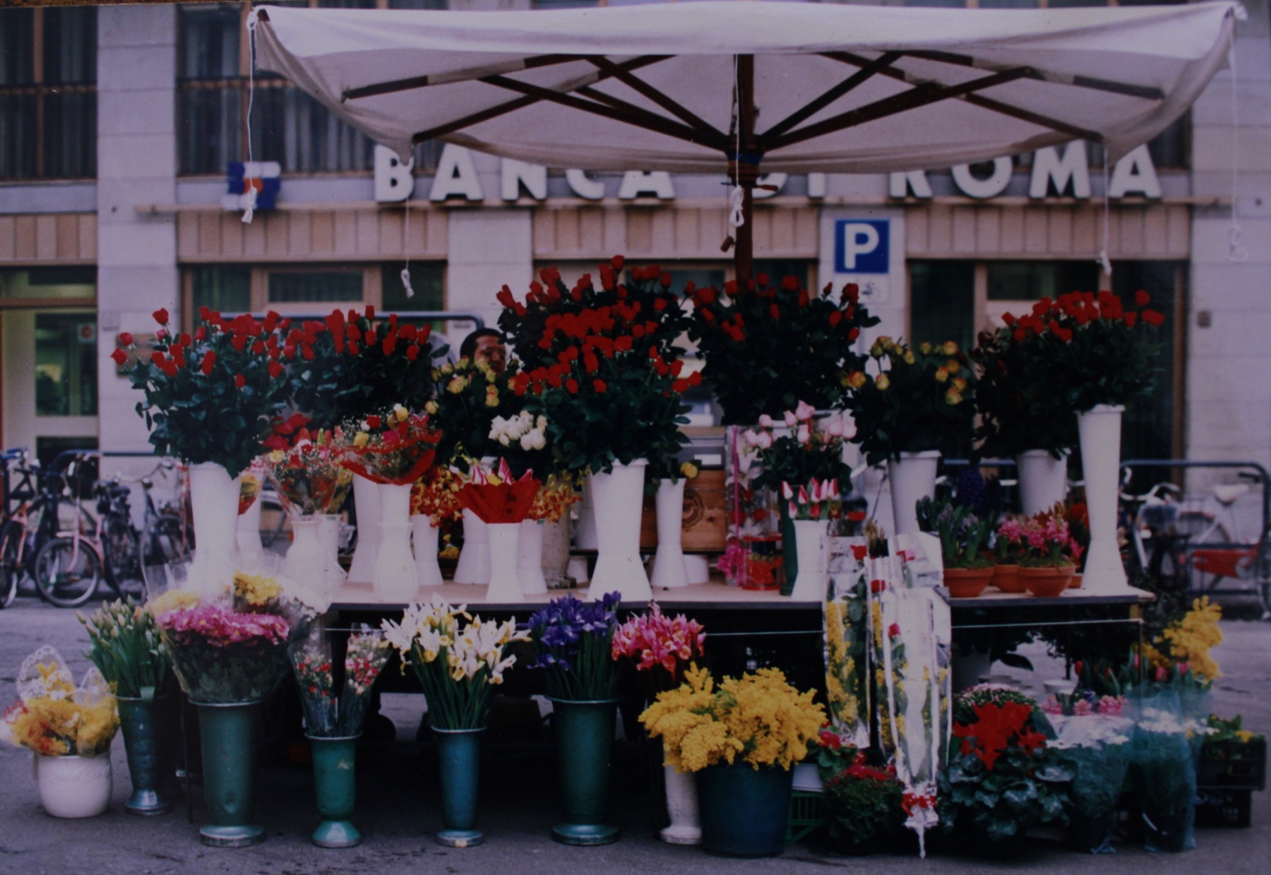 Dettaglio della bottega La Rosa Nera con fiori e piante
